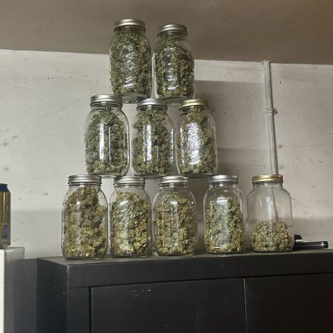 Quick One(5) growlog timeline photo