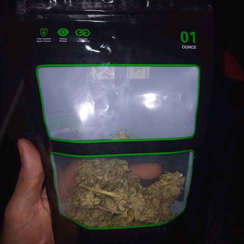 Flor growlog timeline photo