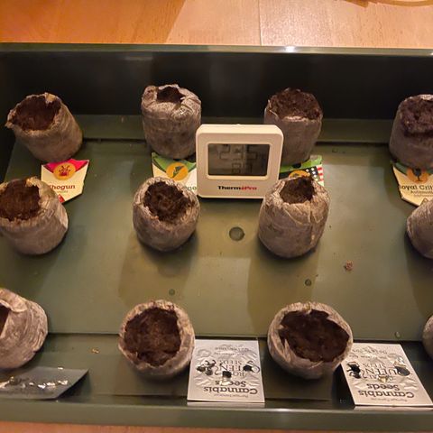 Shogun growlog timeline photo