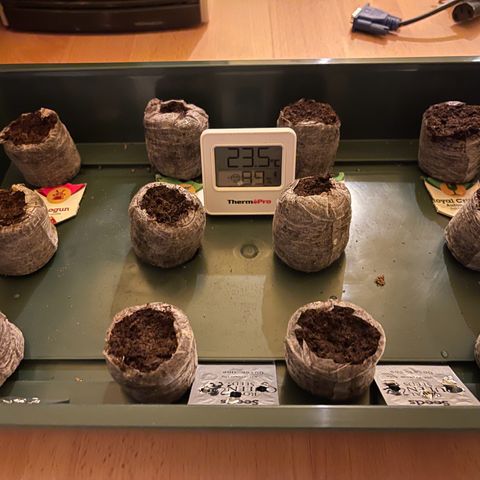 Quick One growlog timeline photo