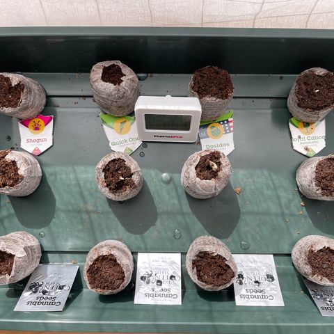 Quick One growlog timeline photo