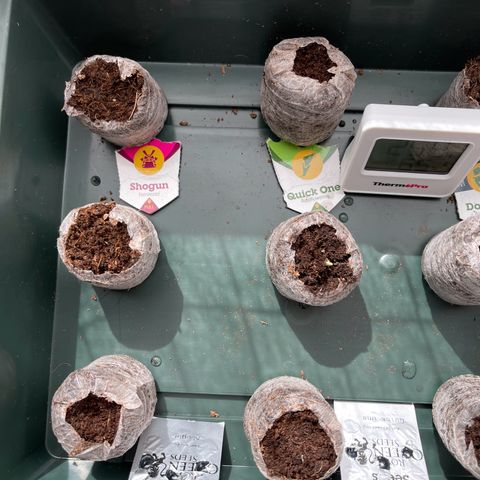 Quick One growlog timeline photo