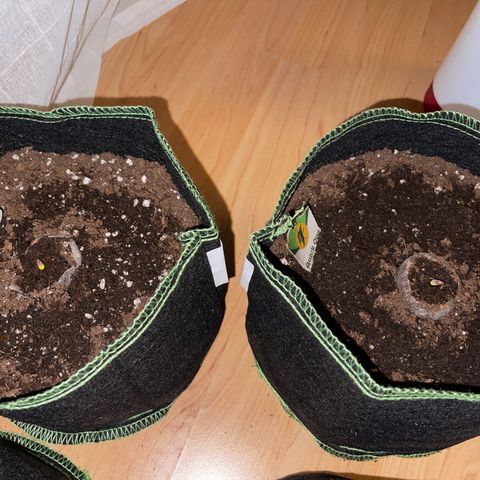 Quick One growlog timeline photo
