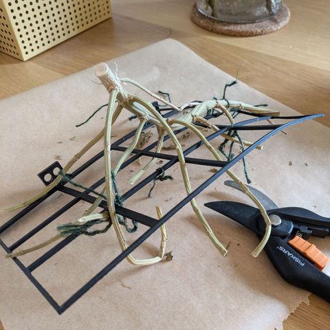Caro growlog timeline photo