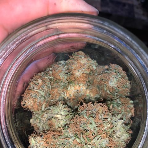 OG-X5 growlog photo: Gas 