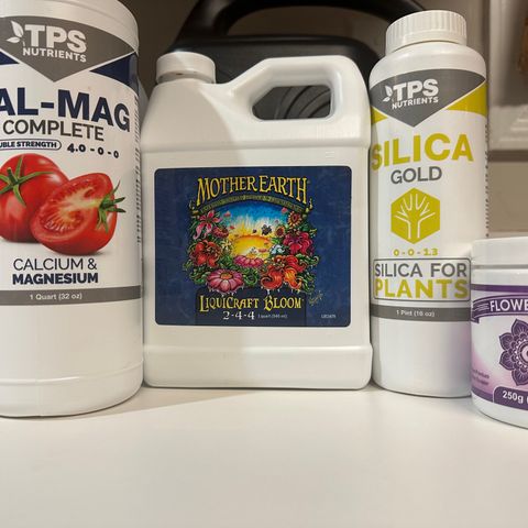 Ingrid growlog timeline photo