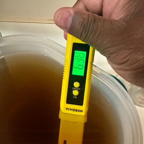 Black African Magic  growlog timeline photo