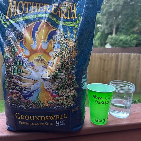 Nova Cain (3n S1) Solo Cup Challenge 06/21/25 growlog photo