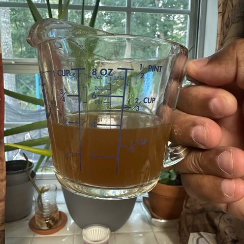 Nova Cain (3n S1) Solo Cup Challenge 06/21/25 growlog timeline photo