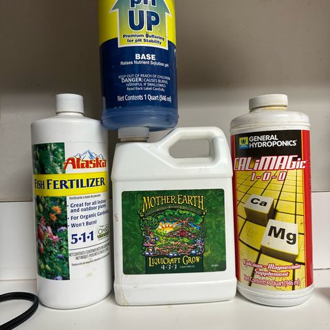 Nova Cain (3n S1) Solo Cup Challenge 06/21/25 growlog timeline photo