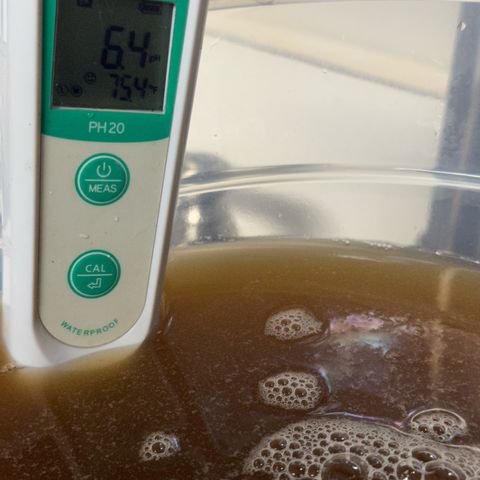 Nova Cain (3n S1) Solo Cup Challenge 06/21/25 growlog timeline photo