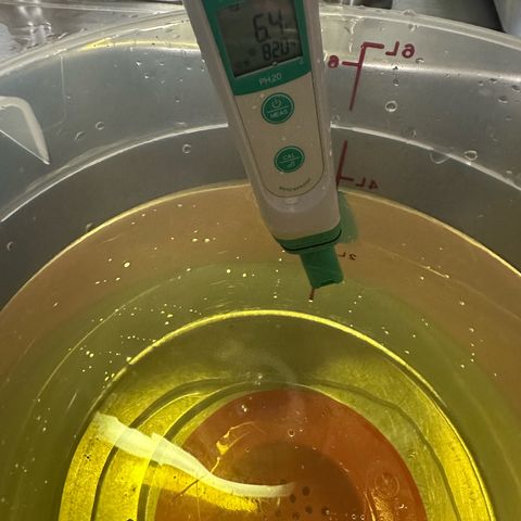 Nova Cain (3n S1) Solo Cup Challenge 06/21/25 growlog timeline photo