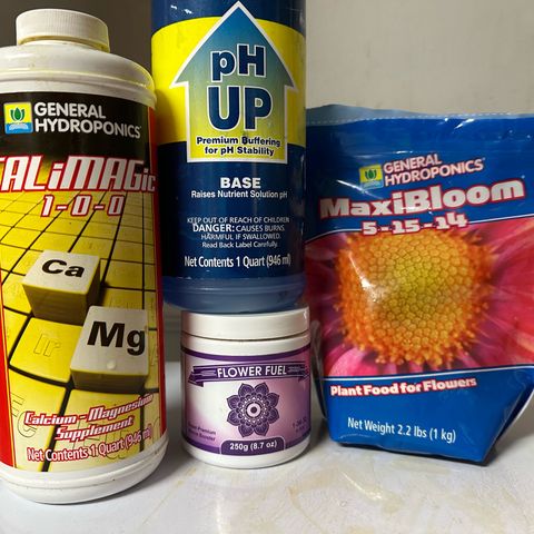 Nova Cain (3n S1) Solo Cup Challenge 06/21/25 growlog timeline photo