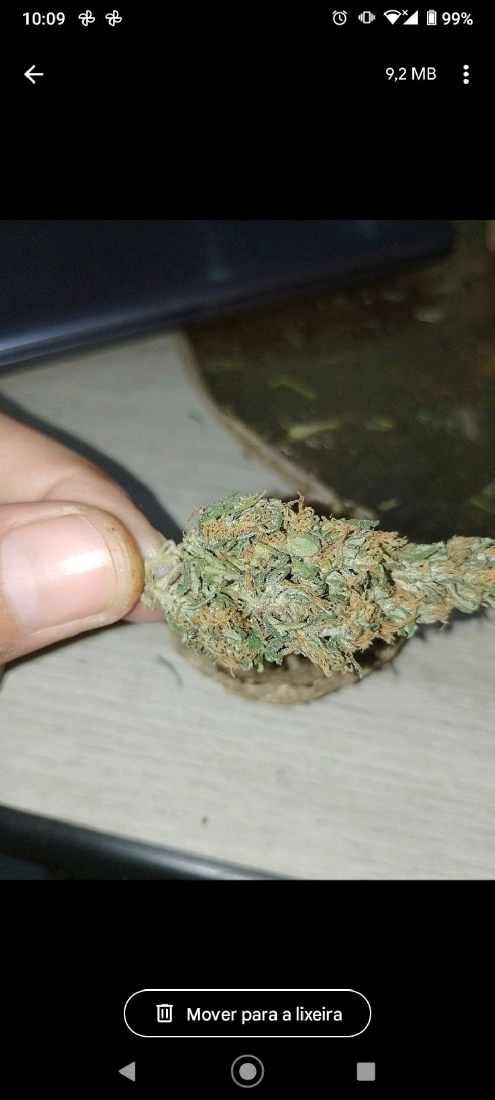 Genética desconhecida growlog header