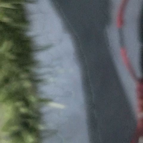 Genética desconhecida growlog timeline photo