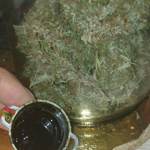 Genética desconhecida growlog photo: Colhe virou mafrodita tava dando sementes 