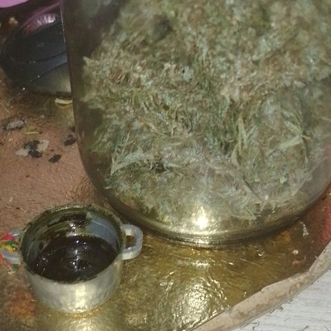 Genética desconhecida growlog photo: Colhe virou mafrodita tava dando sementes 