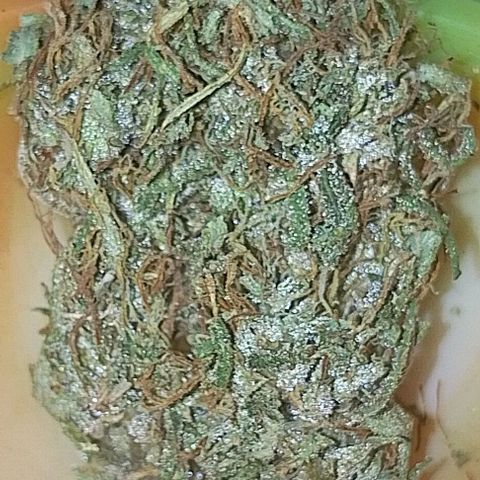Genética desconhecida growlog timeline photo