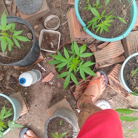 Lobisomem  growlog photo: Uma mostrou que e feminina ❤️