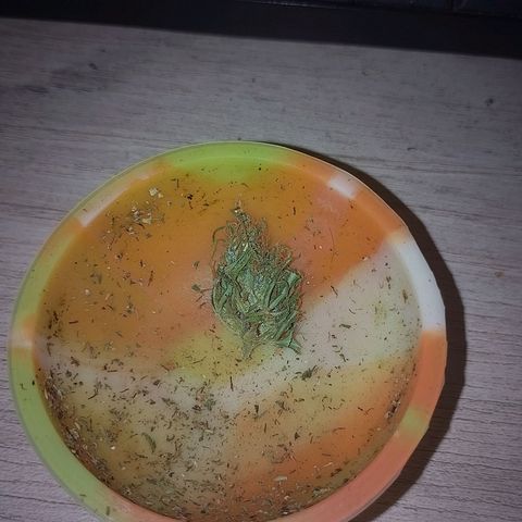 Lobisomem  growlog timeline photo