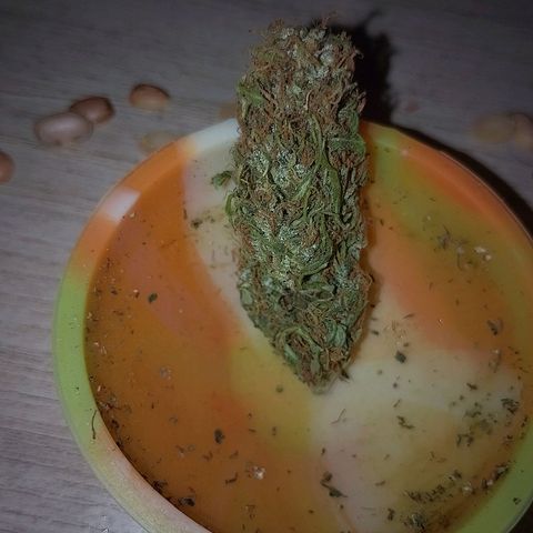 Lobisomem  growlog timeline photo