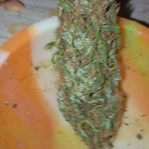 Lobisomem  growlog timeline photo