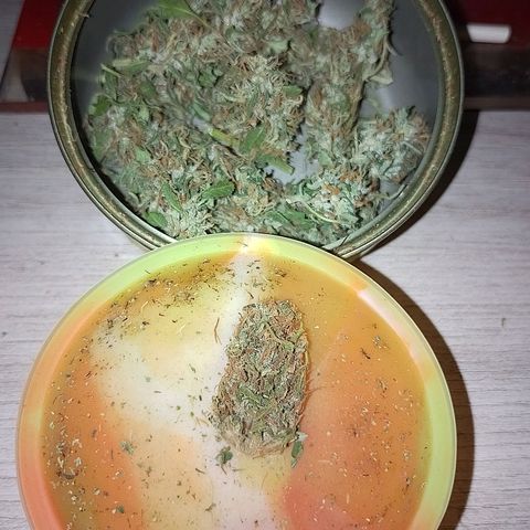 Lobisomem  growlog timeline photo