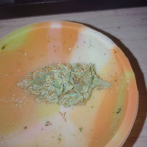 Lobisomem  growlog timeline photo