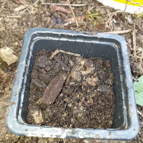 Génétique inconnue growlog timeline photo