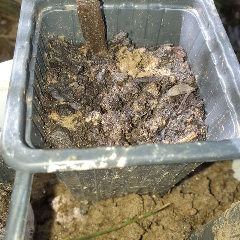 Génétique inconnue growlog timeline photo