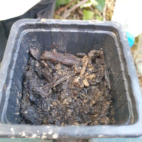 Génétique inconnue growlog timeline photo