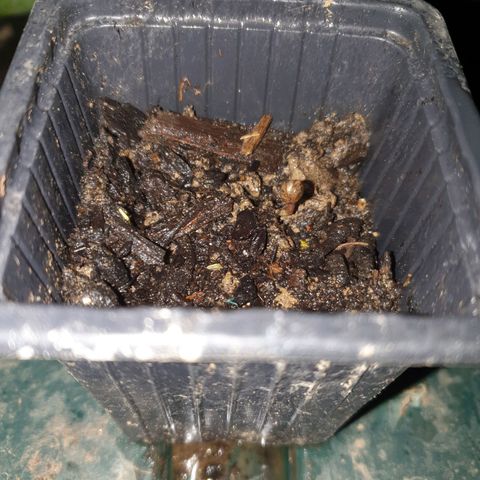 Génétique inconnue growlog timeline photo