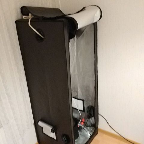 AutoEuforia growlog timeline photo
