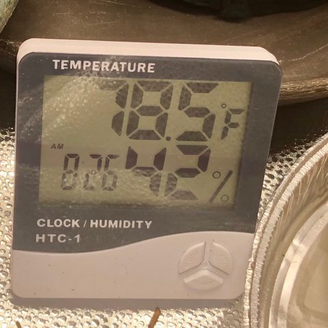 Critical Auto growlog photo: Added cup of water to control humidity.