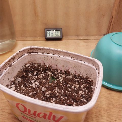 Juana growlog photo: Dia 3