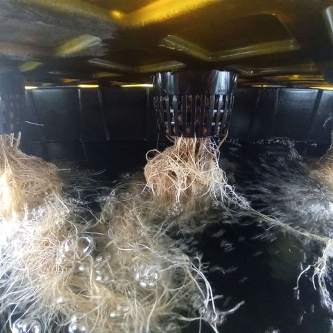 Unknown strain growlog photo: Add fan to corner 24hrs , put intake fan on with lights 