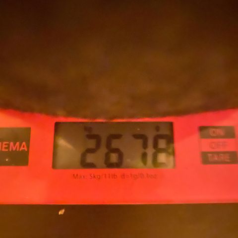 Royal Dwarf Auto growlog timeline photo