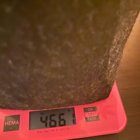 Royal Dwarf Auto growlog timeline photo