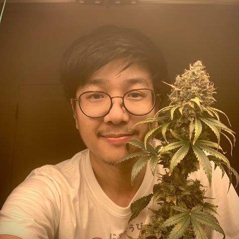 Banana Daddy growlog photo: Flushing
