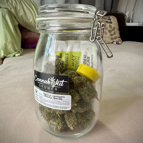 Sticky Gorilla growlog timeline photo