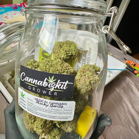 Sticky Gorilla growlog timeline photo