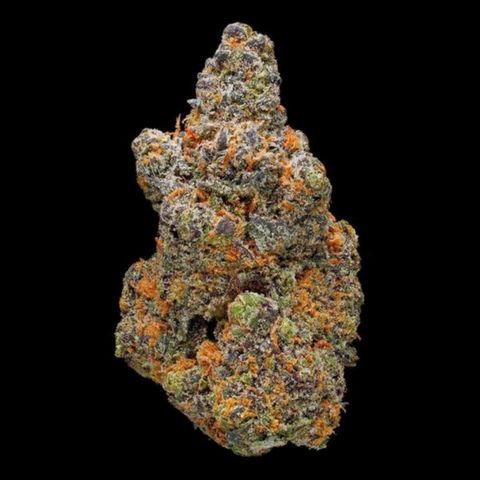 Lemon Urkel growlog timeline photo