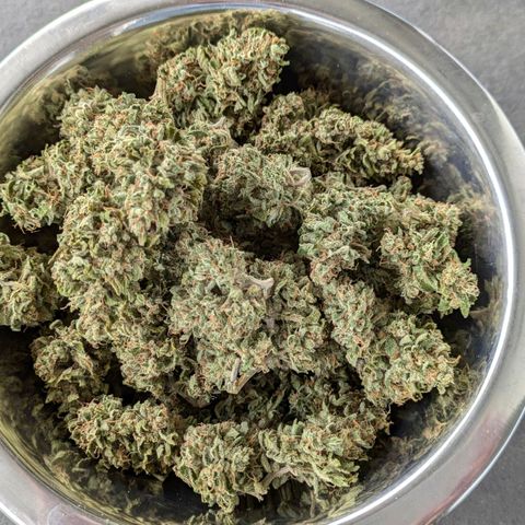 Sweet Afghan Delicious Auto F1 Blimburn  growlog timeline photo