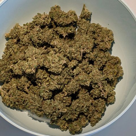 Sweet Afghan Delicious Auto F1 Blimburn  growlog photo: pooling & packaging