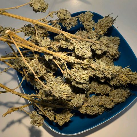 Wedding Cake growlog timeline photo