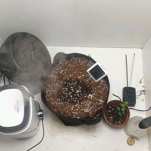 Hulkberry growlog timeline photo
