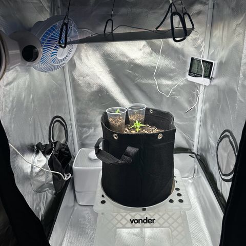 Apple Fritters growlog timeline photo