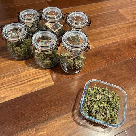 Apple Fritters growlog timeline photo