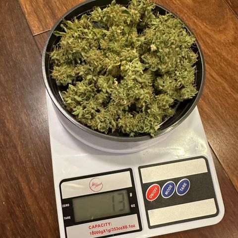 Violet Wedding Cake growlog timeline photo