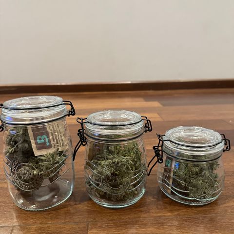 Strick Gorilla 4# growlog timeline photo